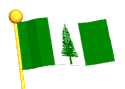 Flag of Norfolk Island